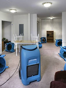 mold removal services Water Damage Restoration Hamilton​ Toilet Backup Service Hamilton​ Mold Removal Hamilton​ Storm Damage Cleanup Hamilton