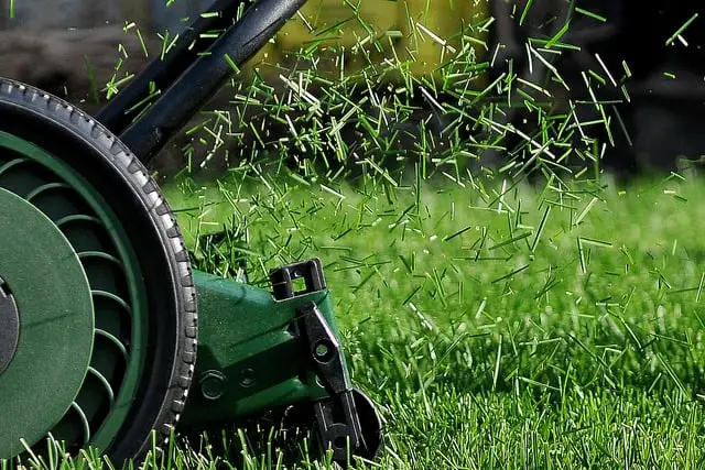 cutting-grass-lawn-mower