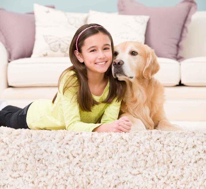 Pet Urine Removal Austin TX