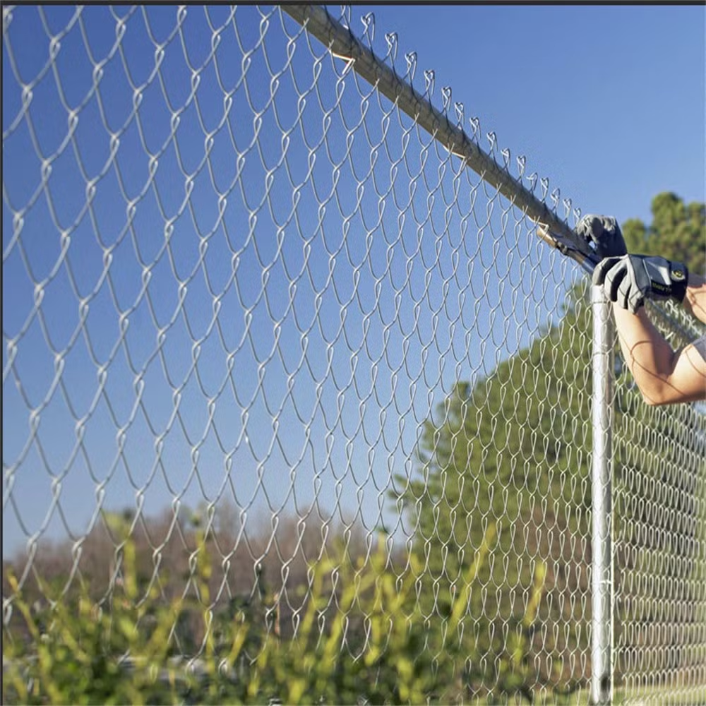 Farm-and-Field-Galvanized-Steel-Chain-Link-Fence
